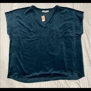 LOFT Plus Velvet Top